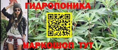 jwh Волгодонск