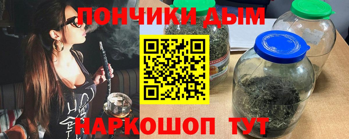 Бошки Шишки планчик  Канабис планчик  Гусиноозёрск  МАРИХУАНА конопля 